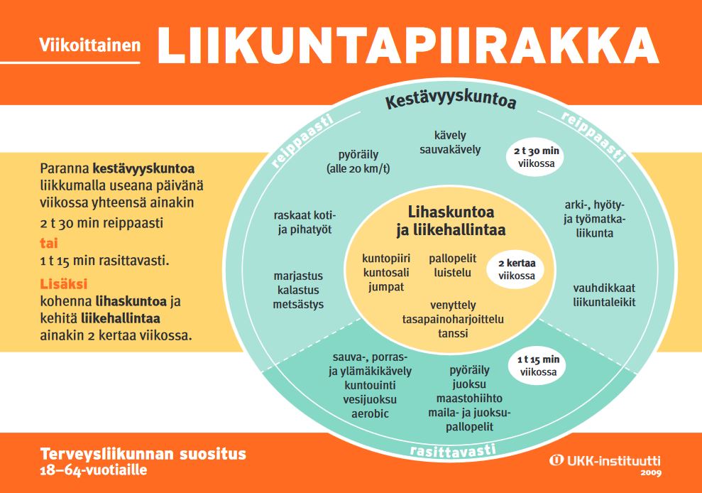 liikuntapiirakka_aikuiset